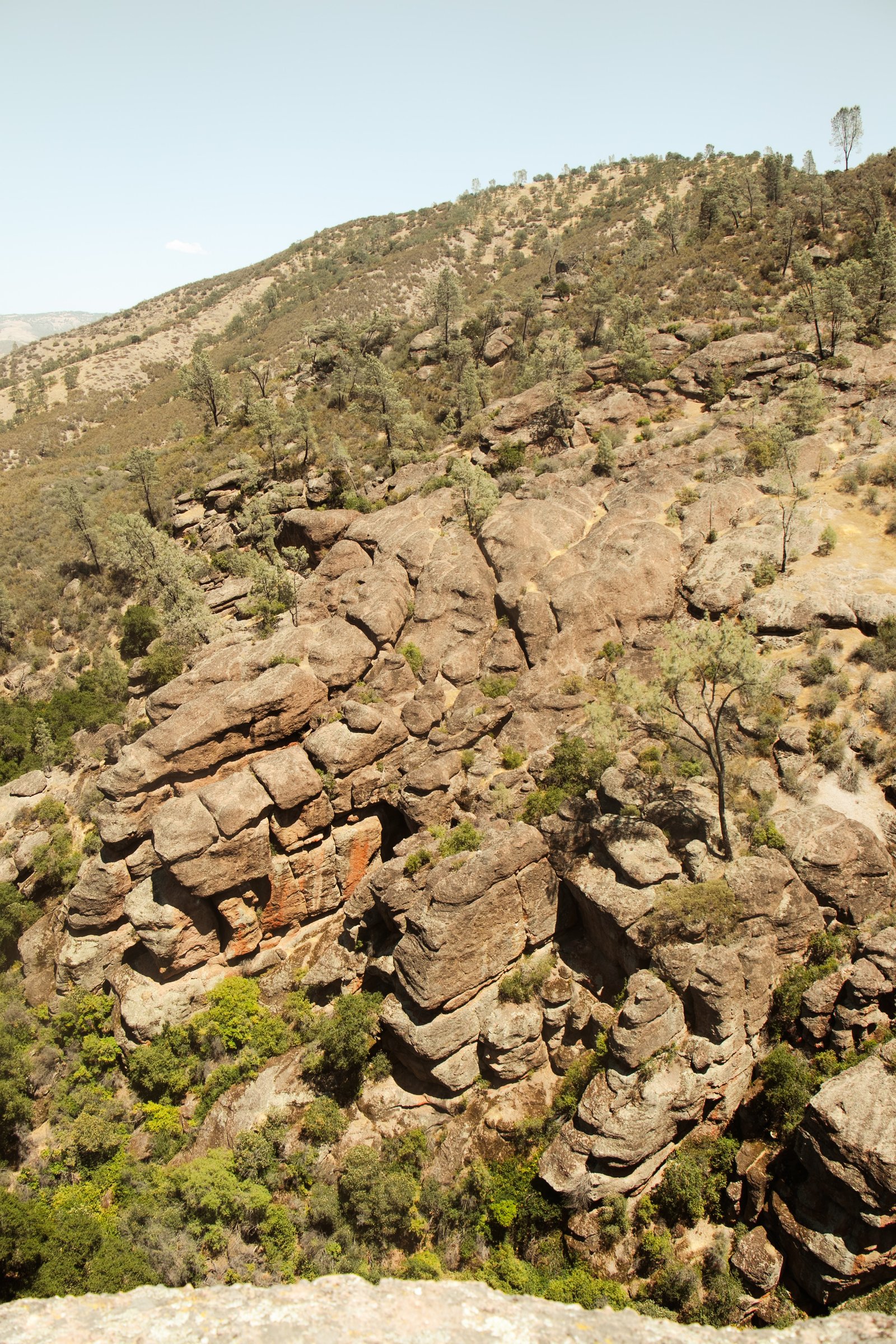 Photo by Harris Campbell